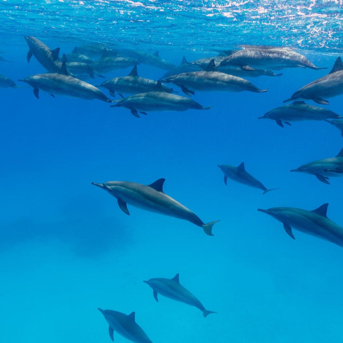 a close up of a fighter jet flying through a blue sky