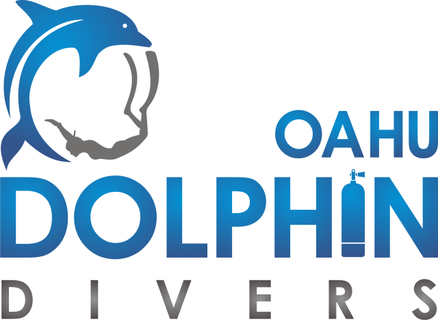 Dolphin Divers