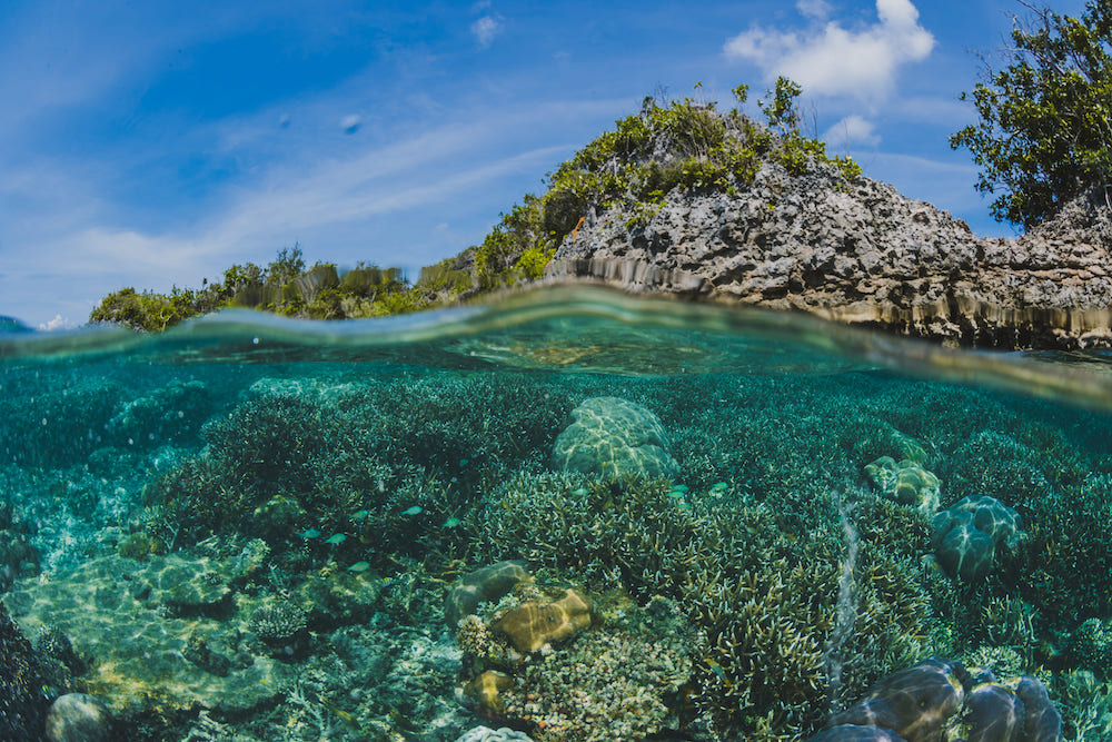Best Spots to Snorkel in Oahu