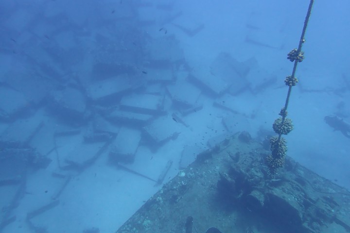 a view of the earth from space